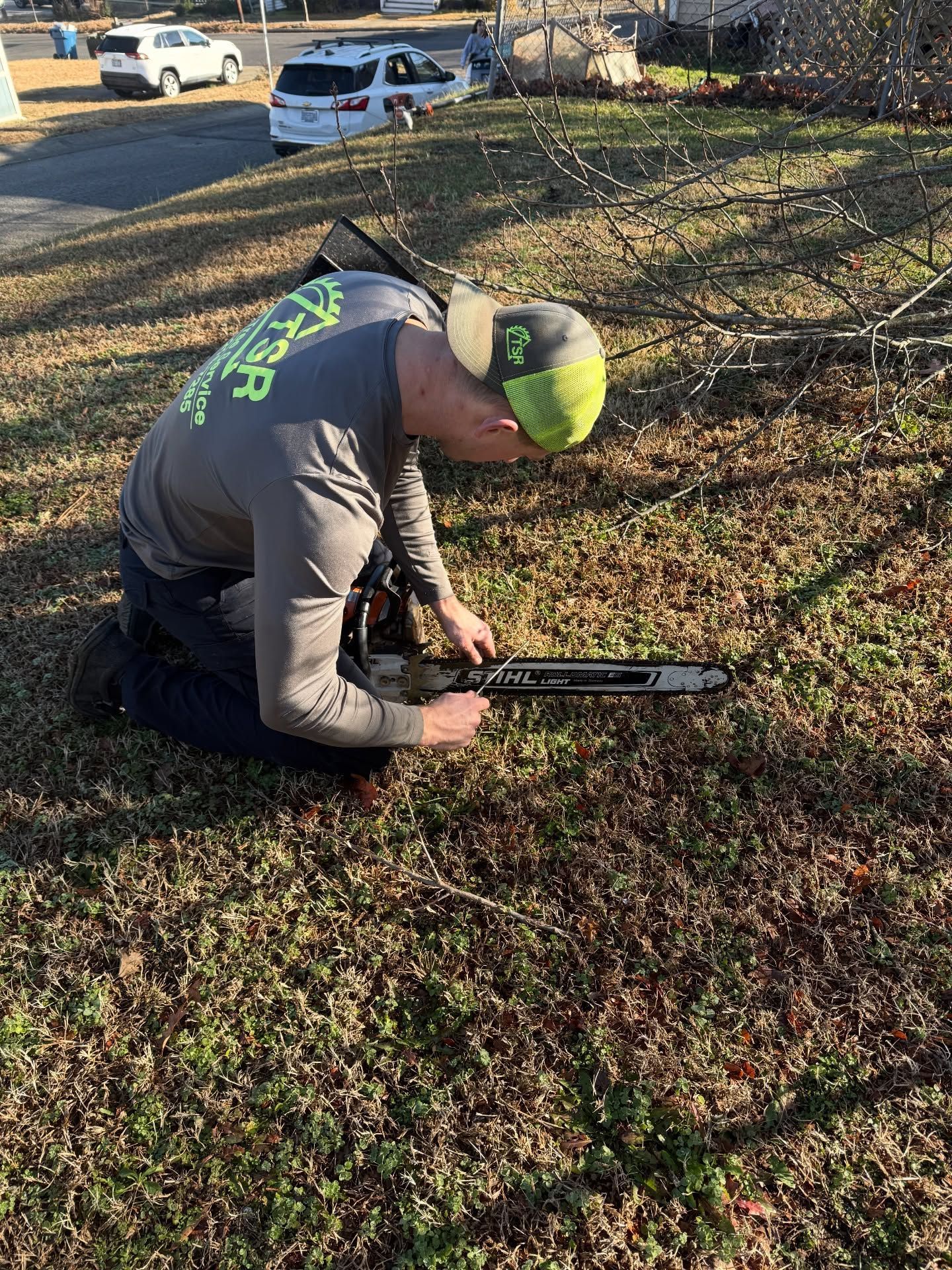 Person kneeling on grass, using a tool near a small shrub in a yard beside parked cars.