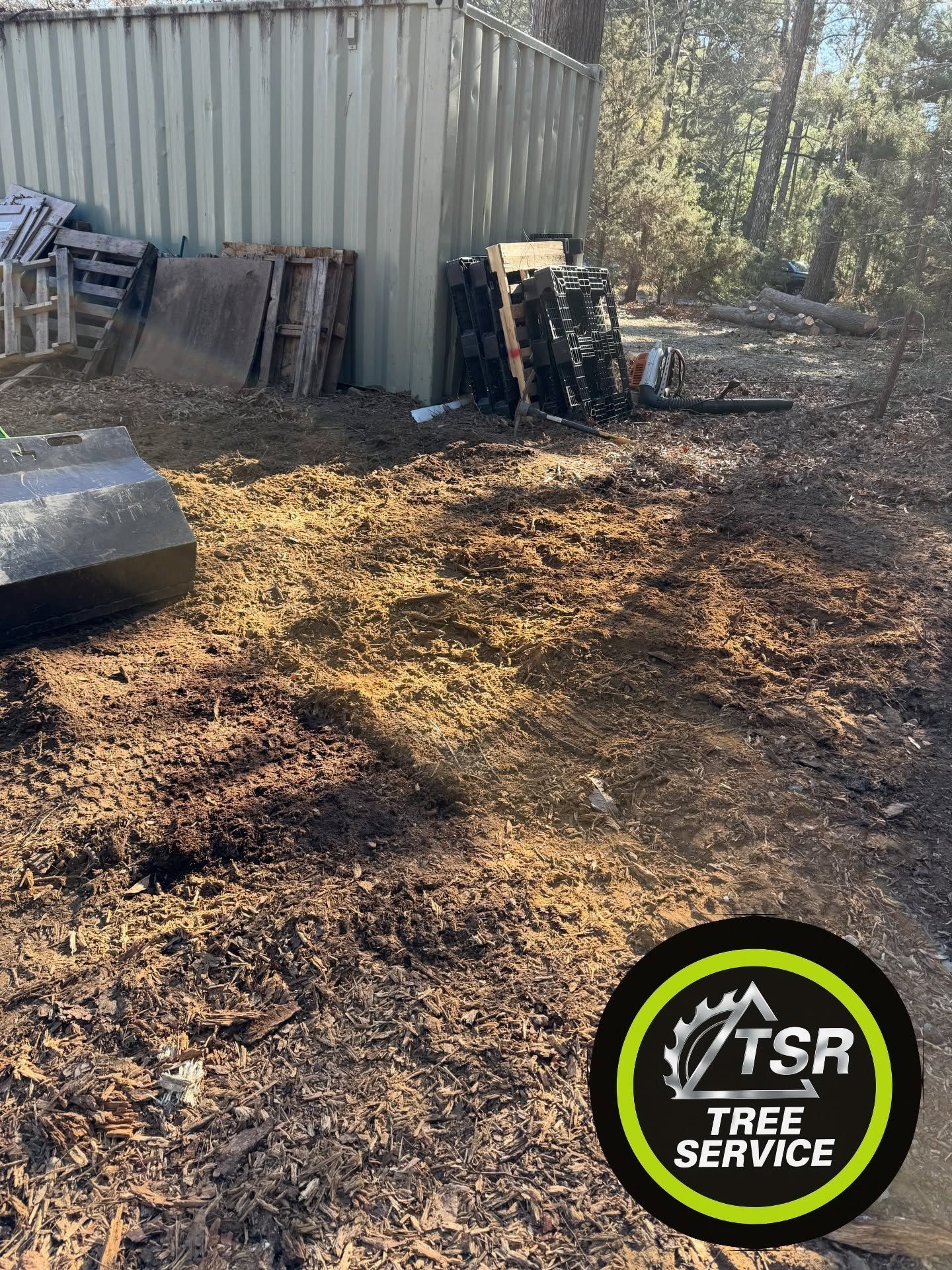 Cleared dirt beside a corrugated metal shed, with stacked debris and a TSR Tree Service logo in the corner.