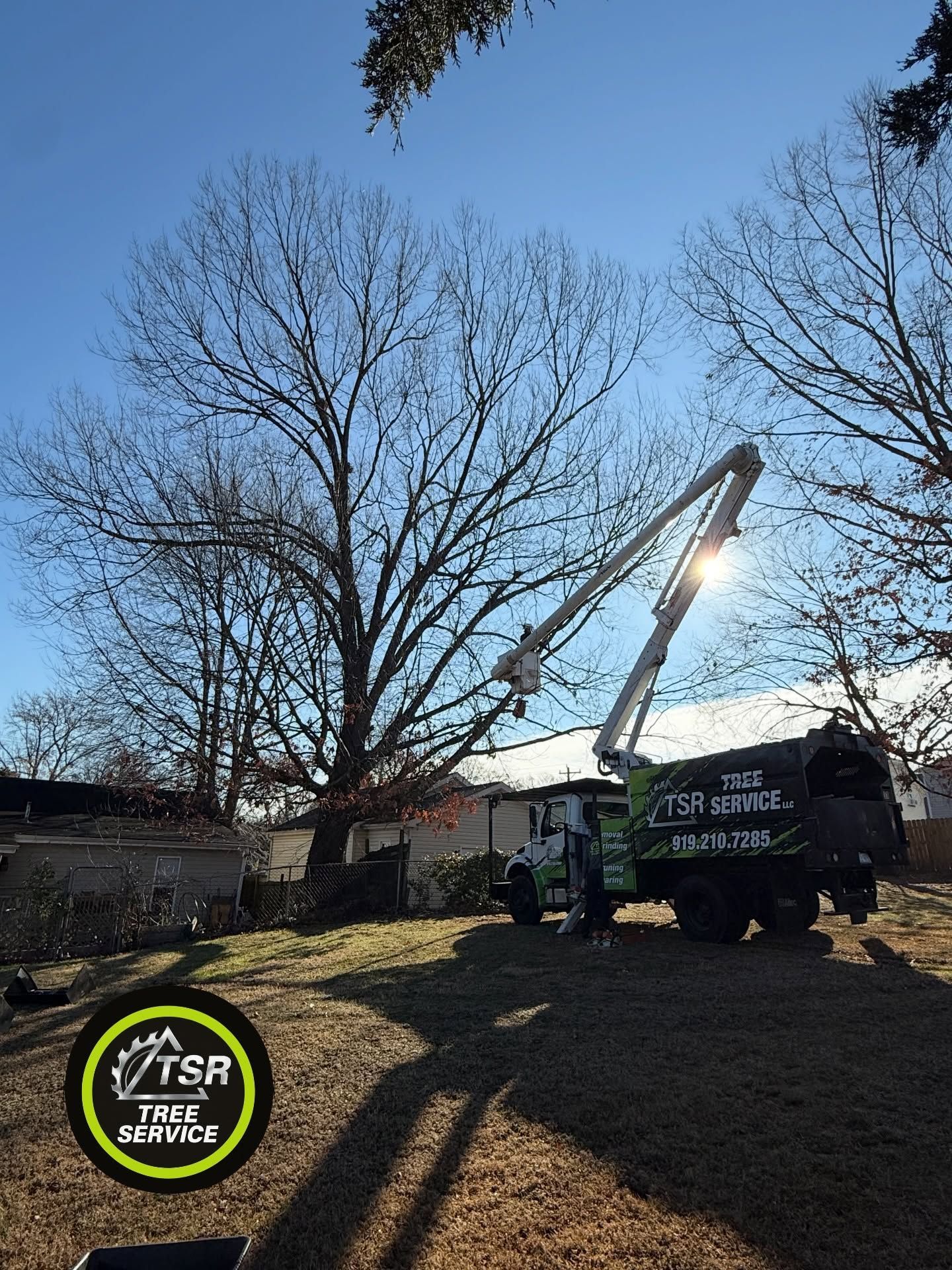 Tree trimming truck with raised boom in a sunny yard, partly framed by leafless trees and blue sky