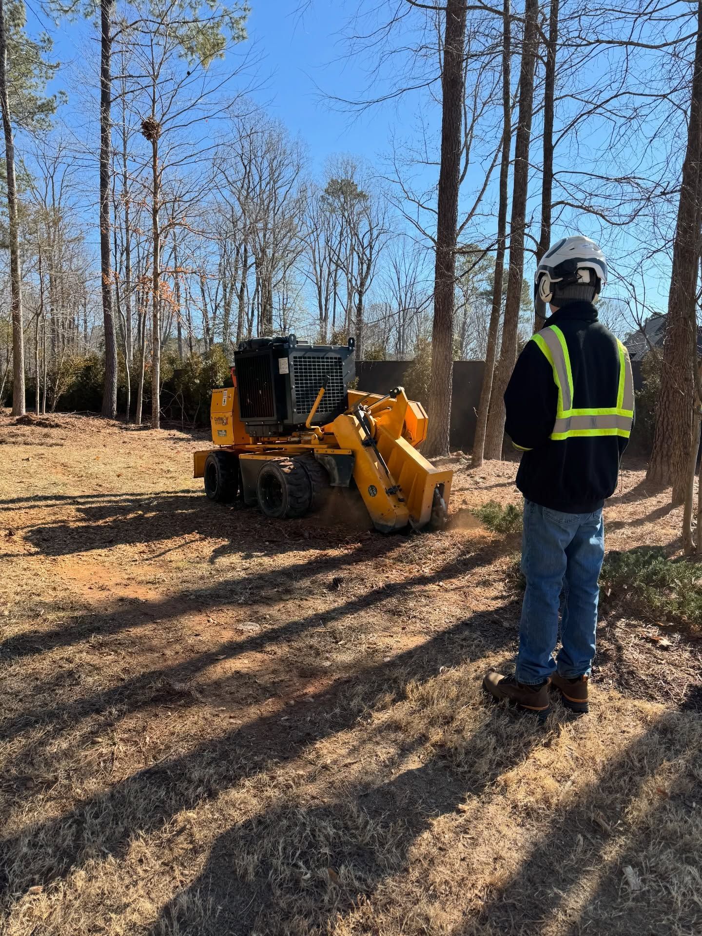 Worker in safety vest stands near a yellow compact loader in a wooded clearing on a sunny day.