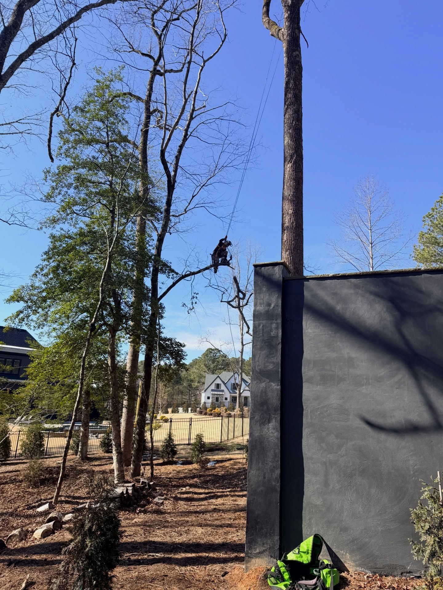 A black dog sits atop a utility pole beside a gray wall in a wooded yard under a blue sky.