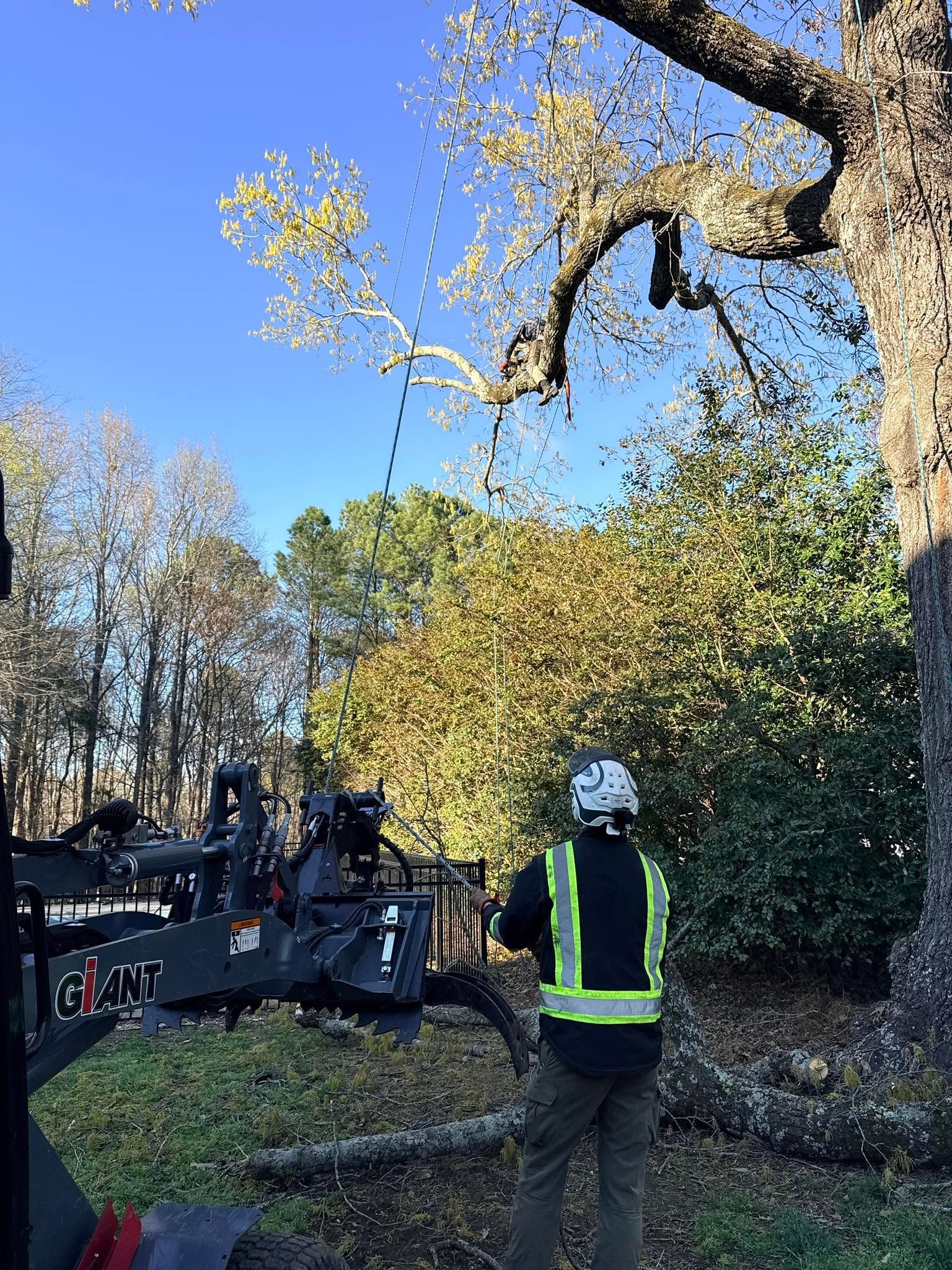 Person in a reflective vest stands on a path near a truck and trees in a sunny park.