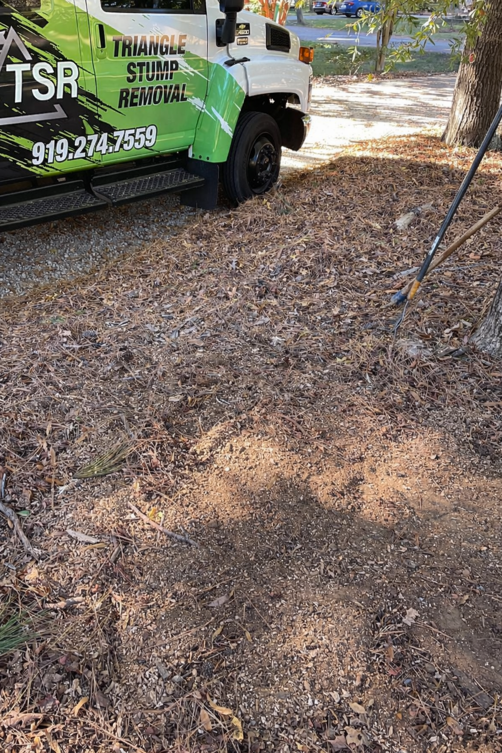 Green landscaping truck parked on a leaf-covered yard with a bare dirt patch and garden hose nearby