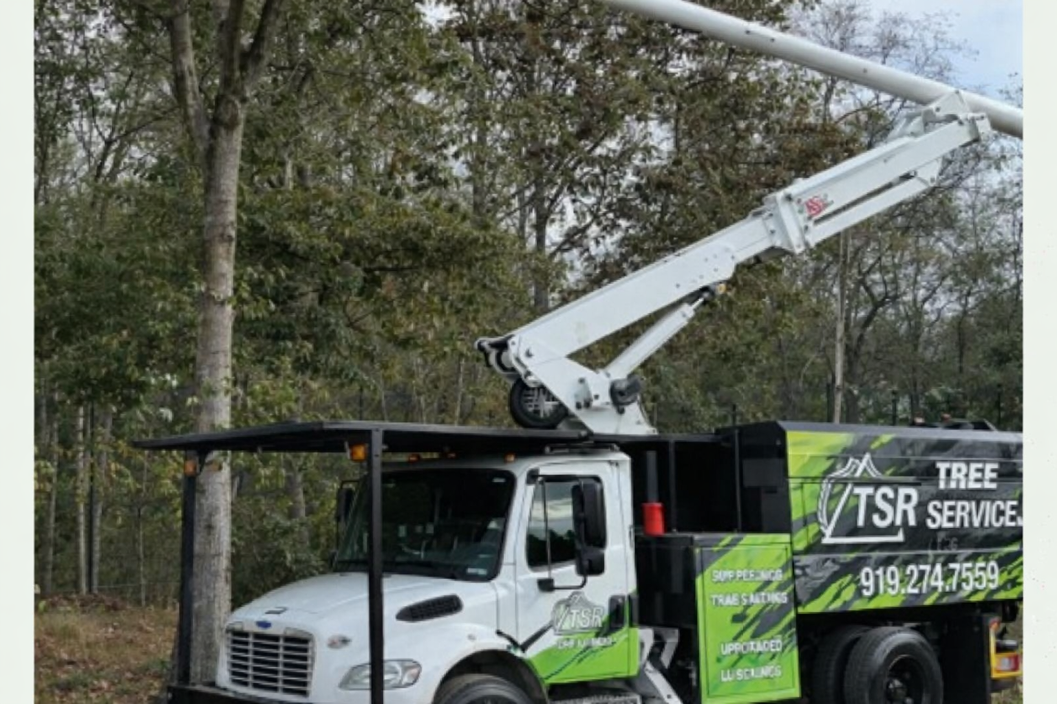 Tree service truck with raised white boom parked beside trees in a wooded area.