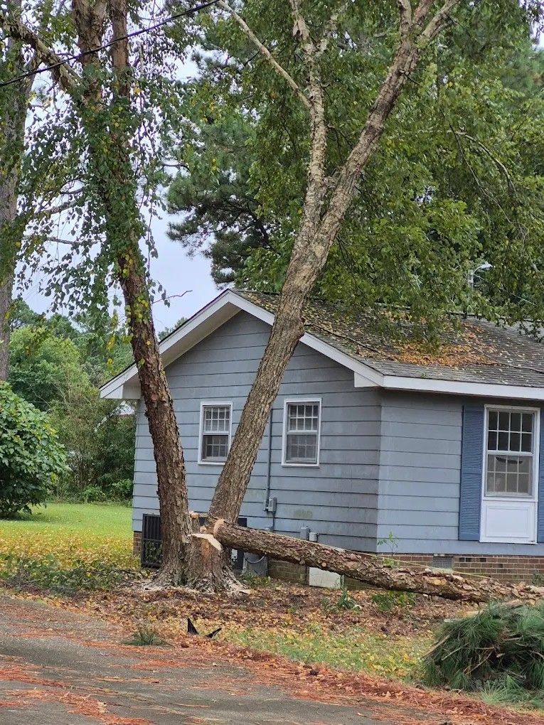 Gray house with a leaning tree propped against the front, on a leafy yard near the road