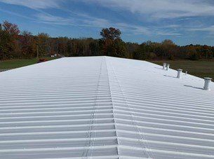 White corrugated metal roof stretching into the distance beside trees under a cloudy sky