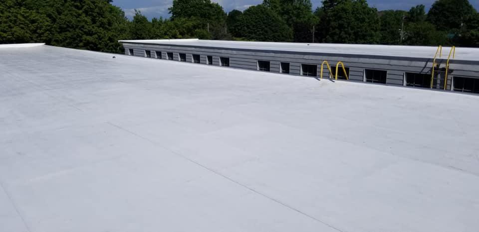 Large white flat roof with low railings and trees in the background