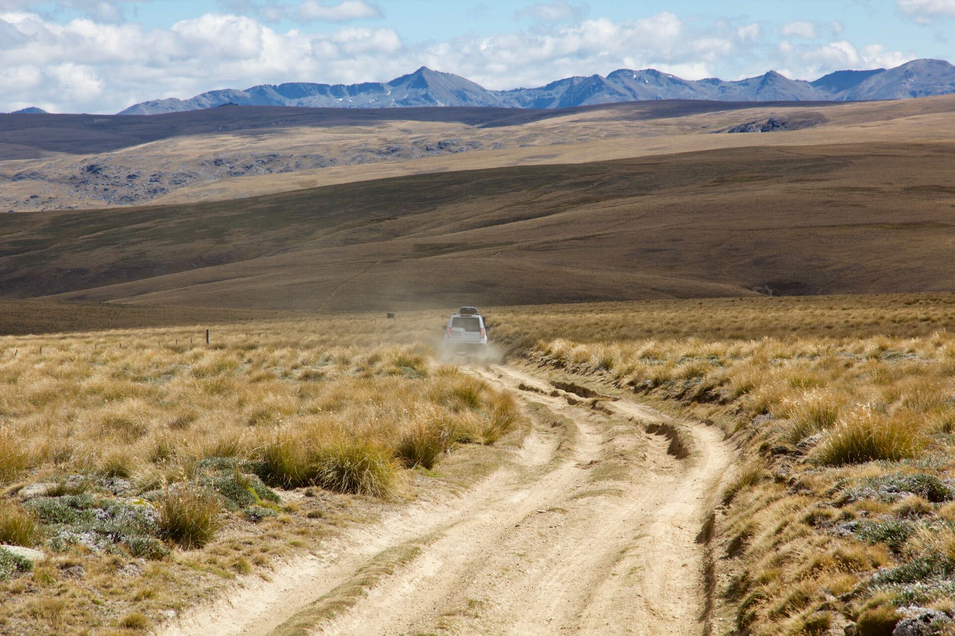 Del 4WD Expeditions Waikaia Bush Road