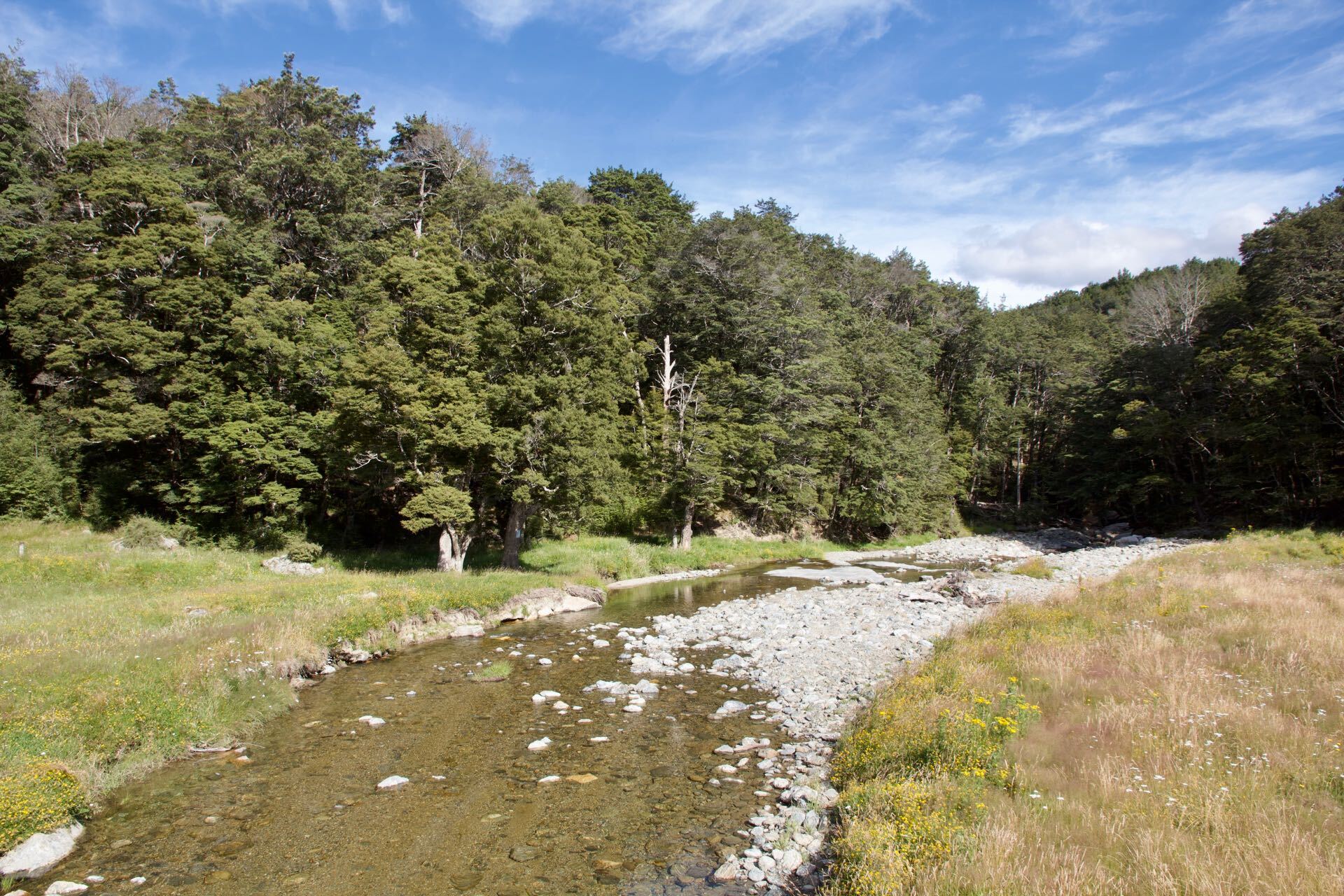 Del 4WD Expeditions Waikaia Bush Road