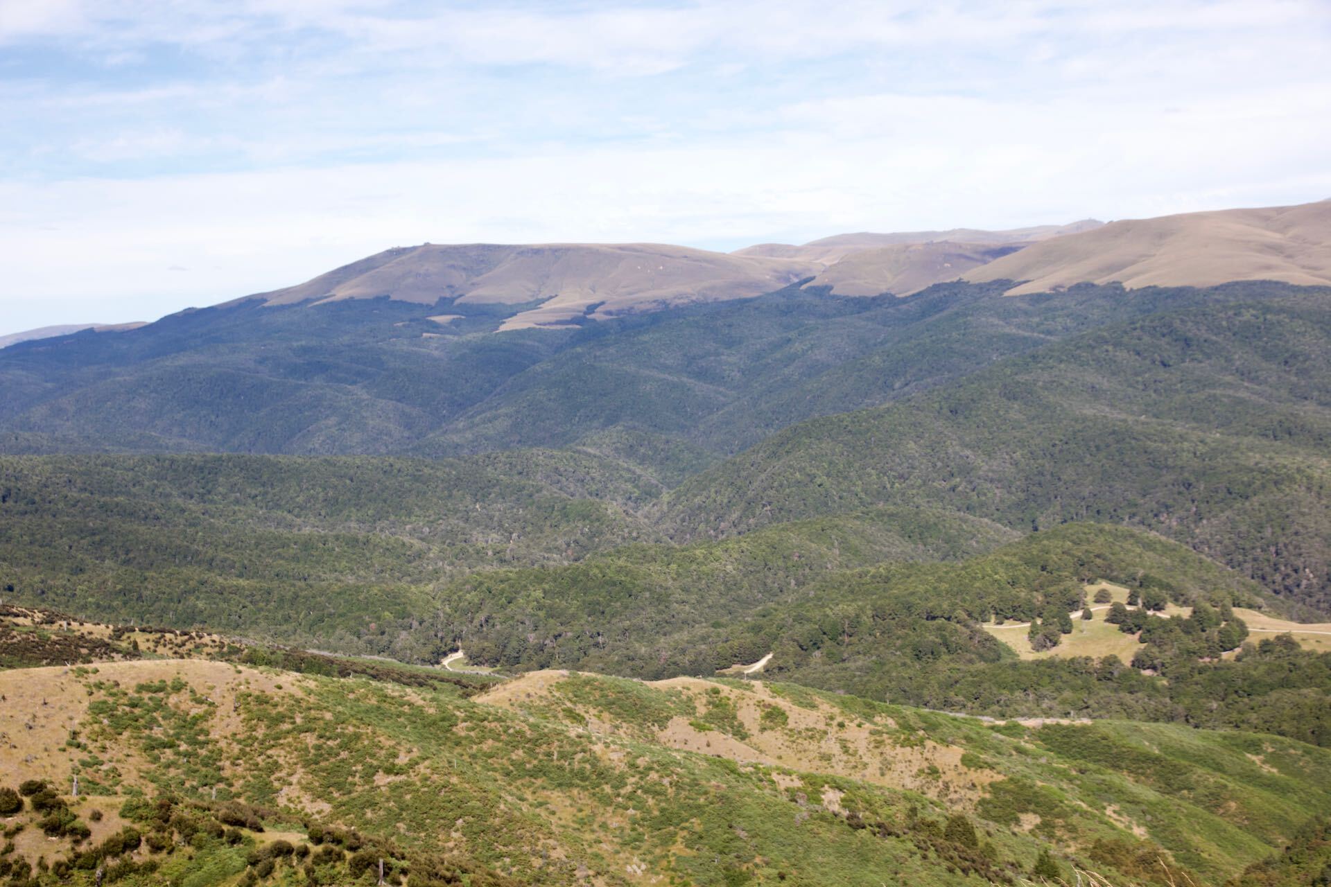 Del 4WD Expeditions Waikaia Bush Road
