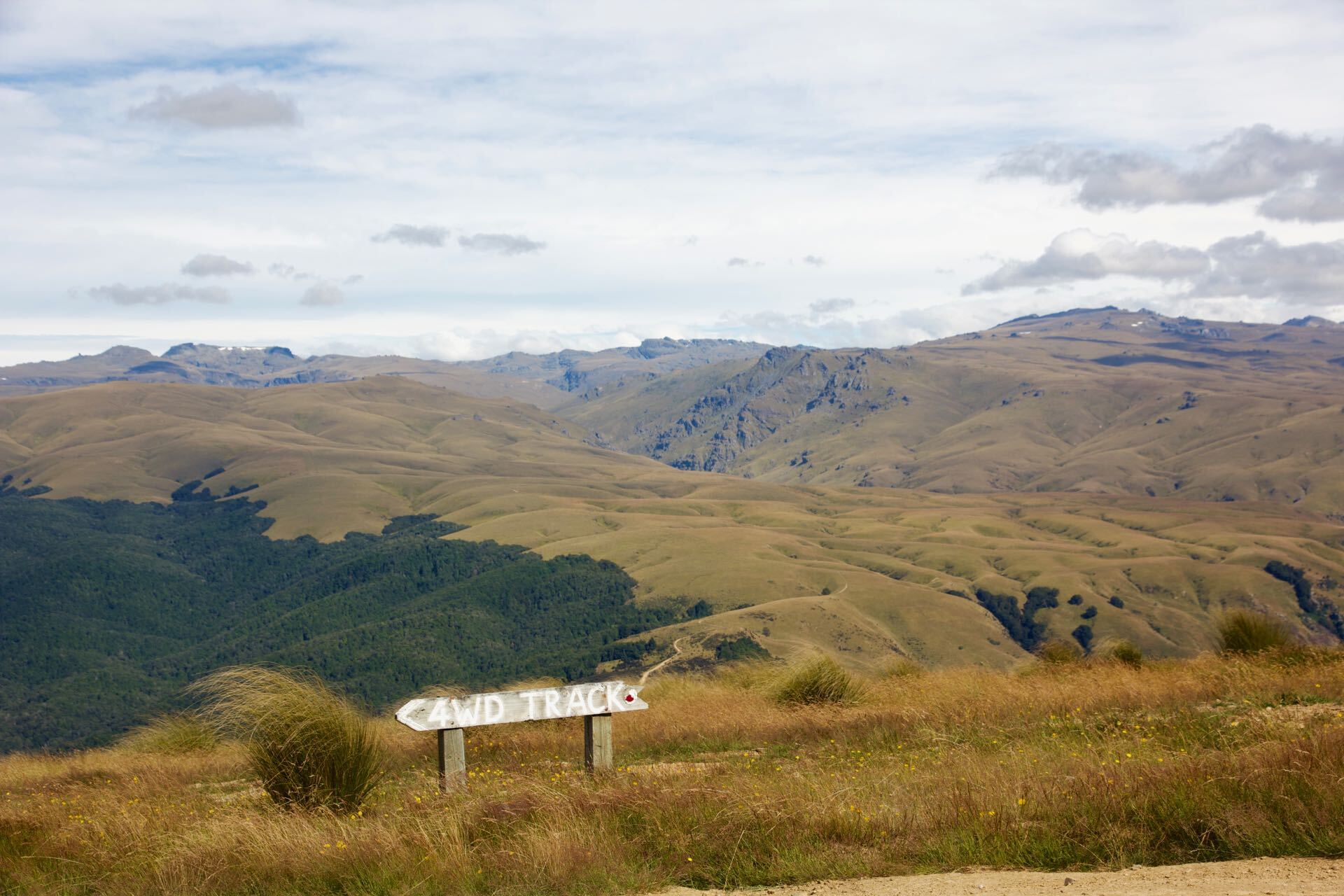 Del 4WD Expeditions Waikaia Bush Road