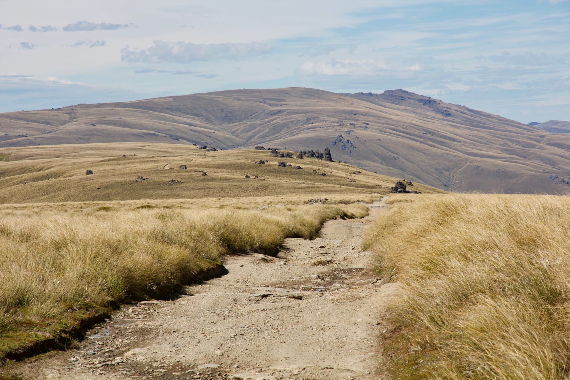 Del 4WD Expeditions Waikaia Bush Road