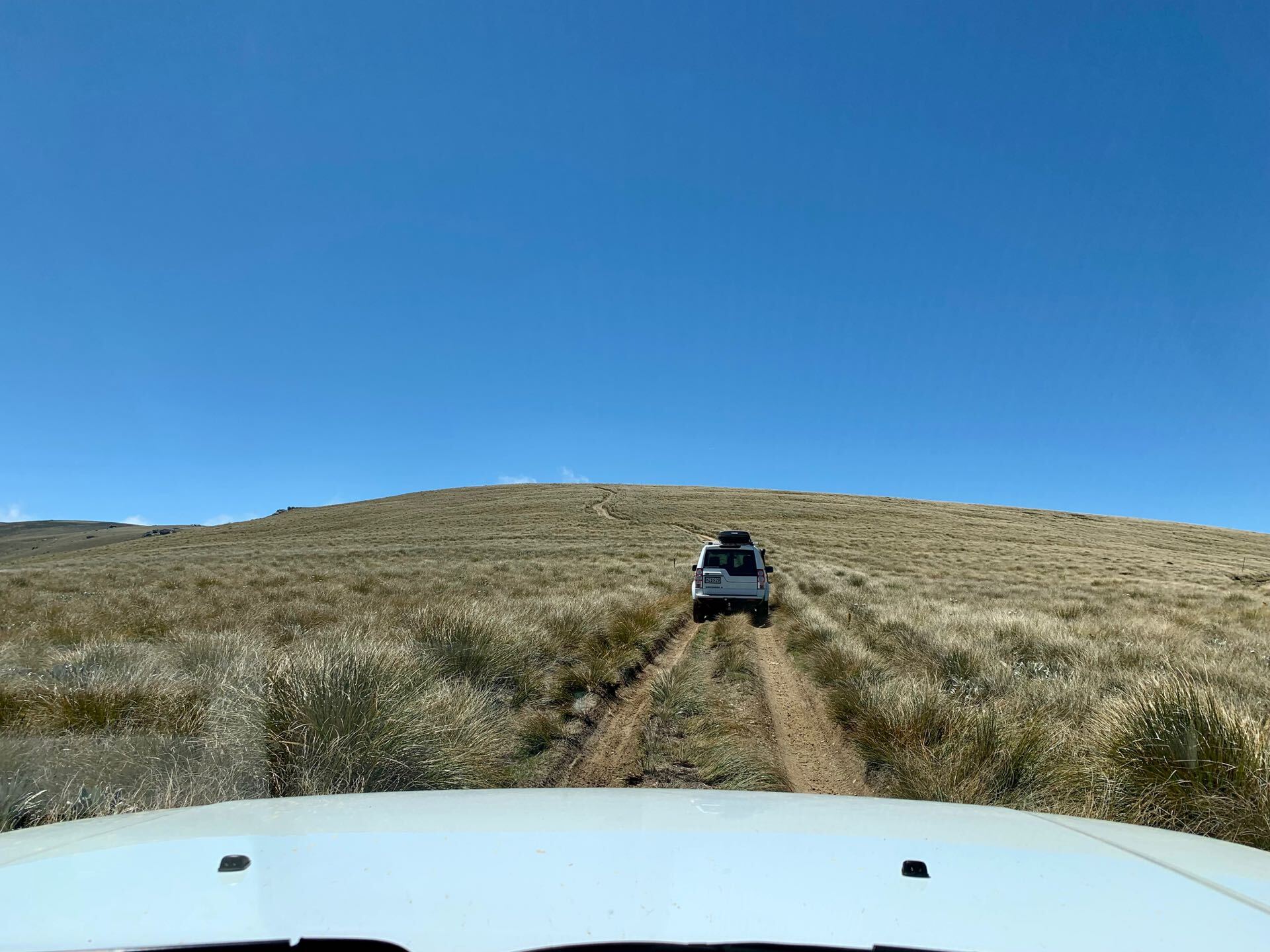 Del 4WD Expeditions Waikaia Bush Road