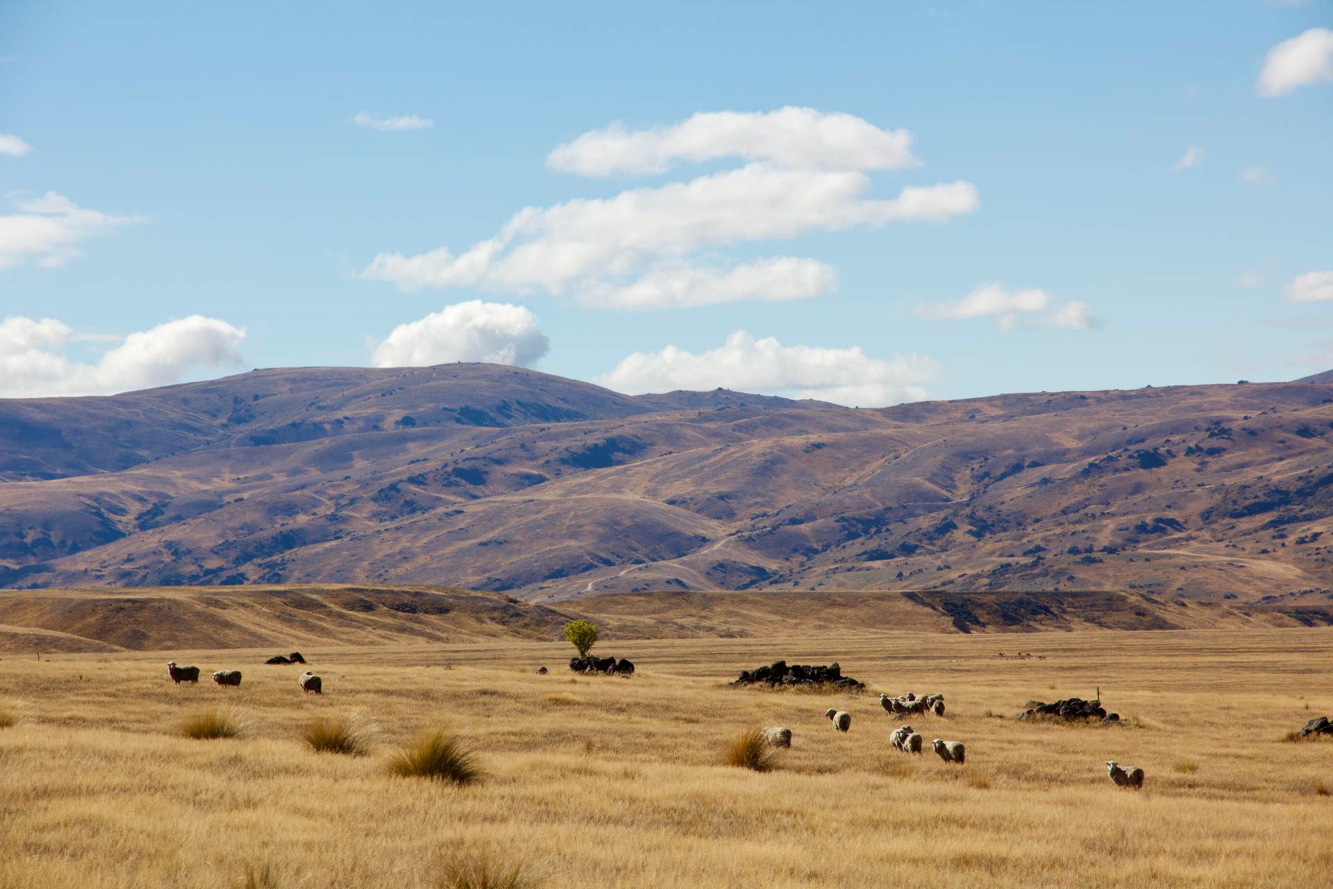 Nevis Valley tours