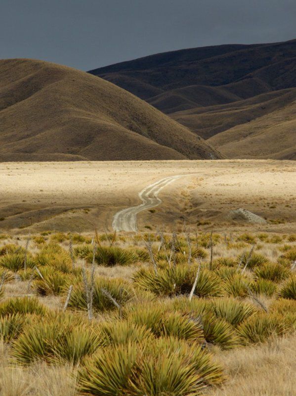 Del 4WD Expeditions Nevis Valley photography tours