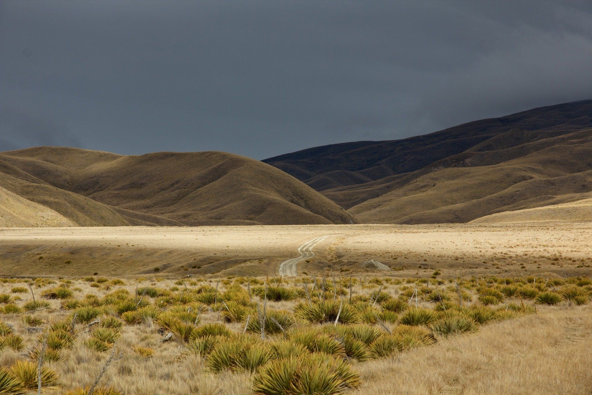 Skippers Canyon tours