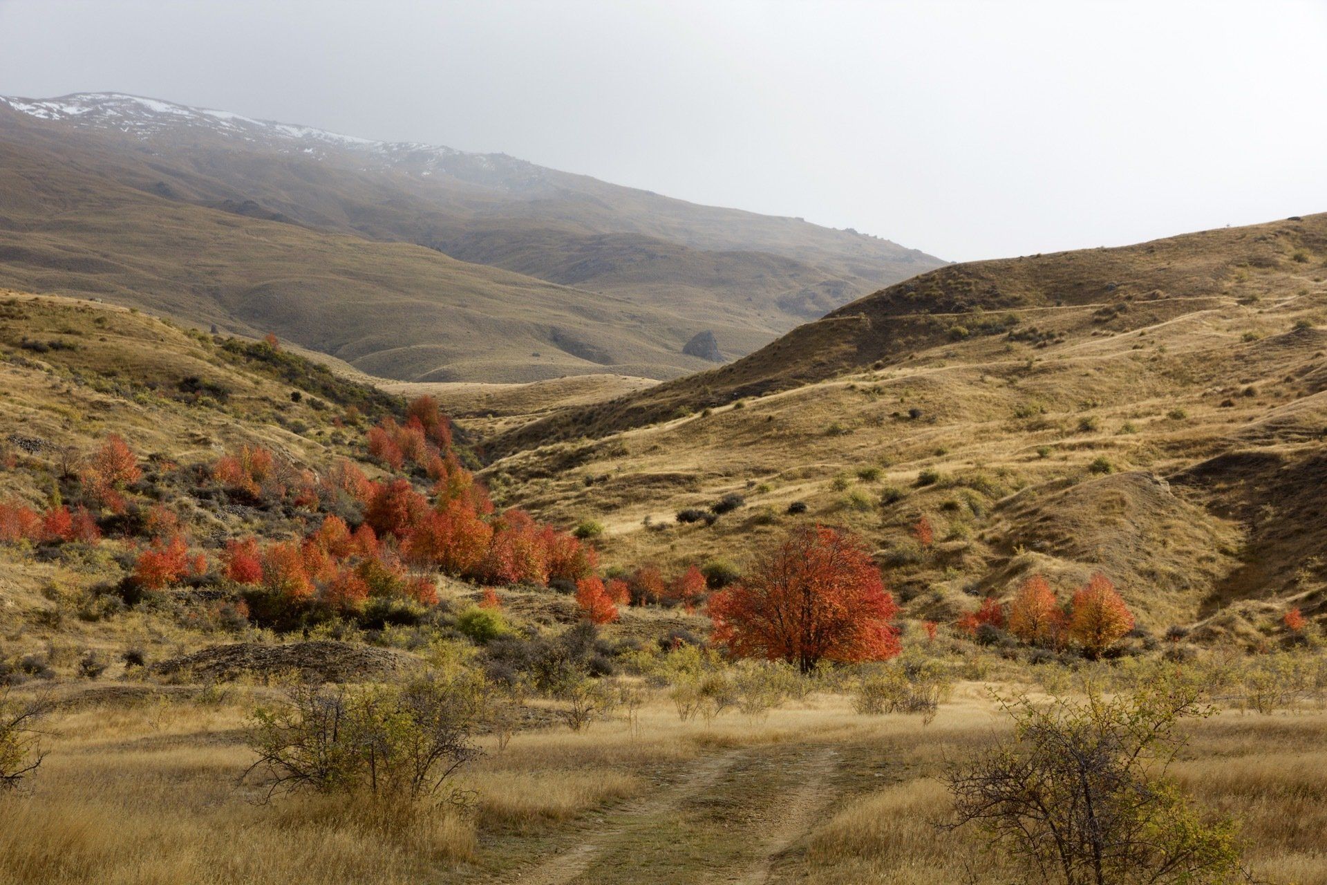 Del 4WD Expeditions Nevis Valley photography tours