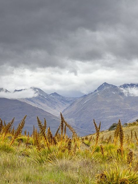 Skippers Canyon Passenger tours www.4WDEXPEDITIONS.nz