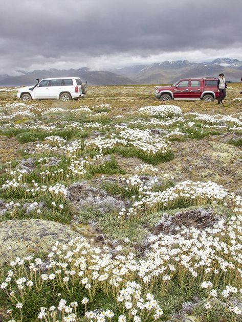 Skippers Canyon photography tours. 4WD Expeditions Queenstown New Zealand