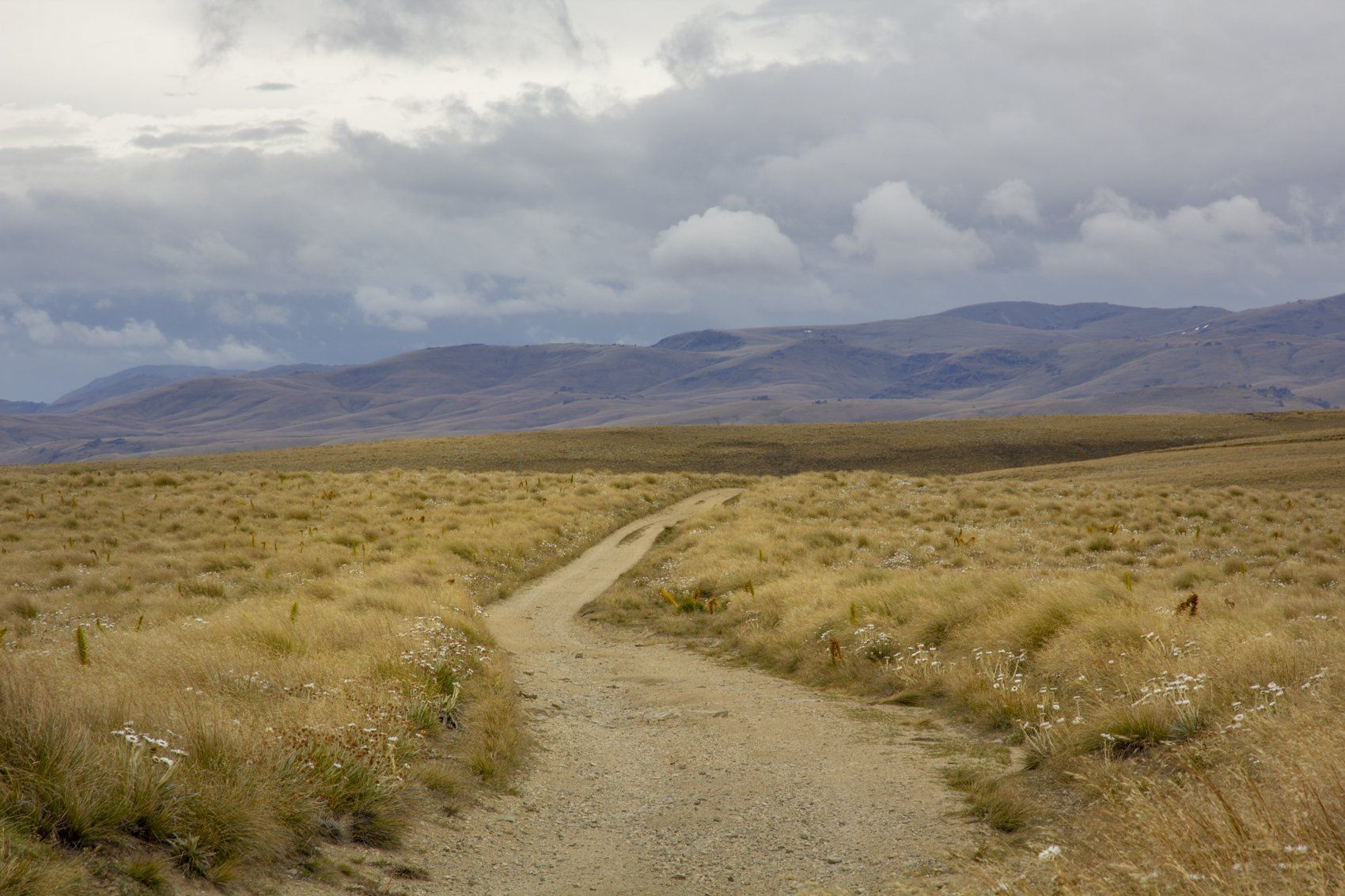 Del 4WD Expeditions Kopuwai