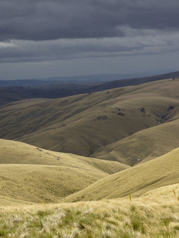 Del 4WD Expeditions Queenstown