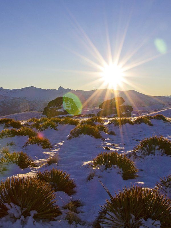 Del 4WD Expeditions Queenstown