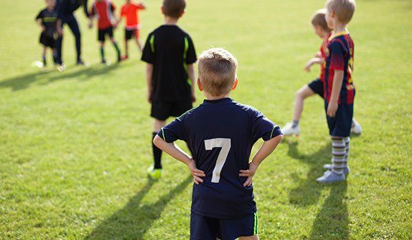 Sports Teams