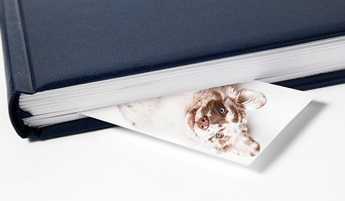 Bookmark