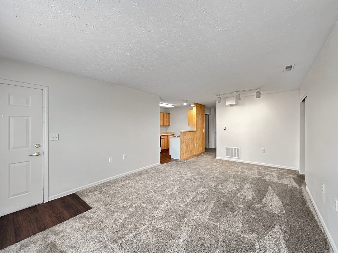 An empty living room with a carpeted floor and a kitchen in the background.