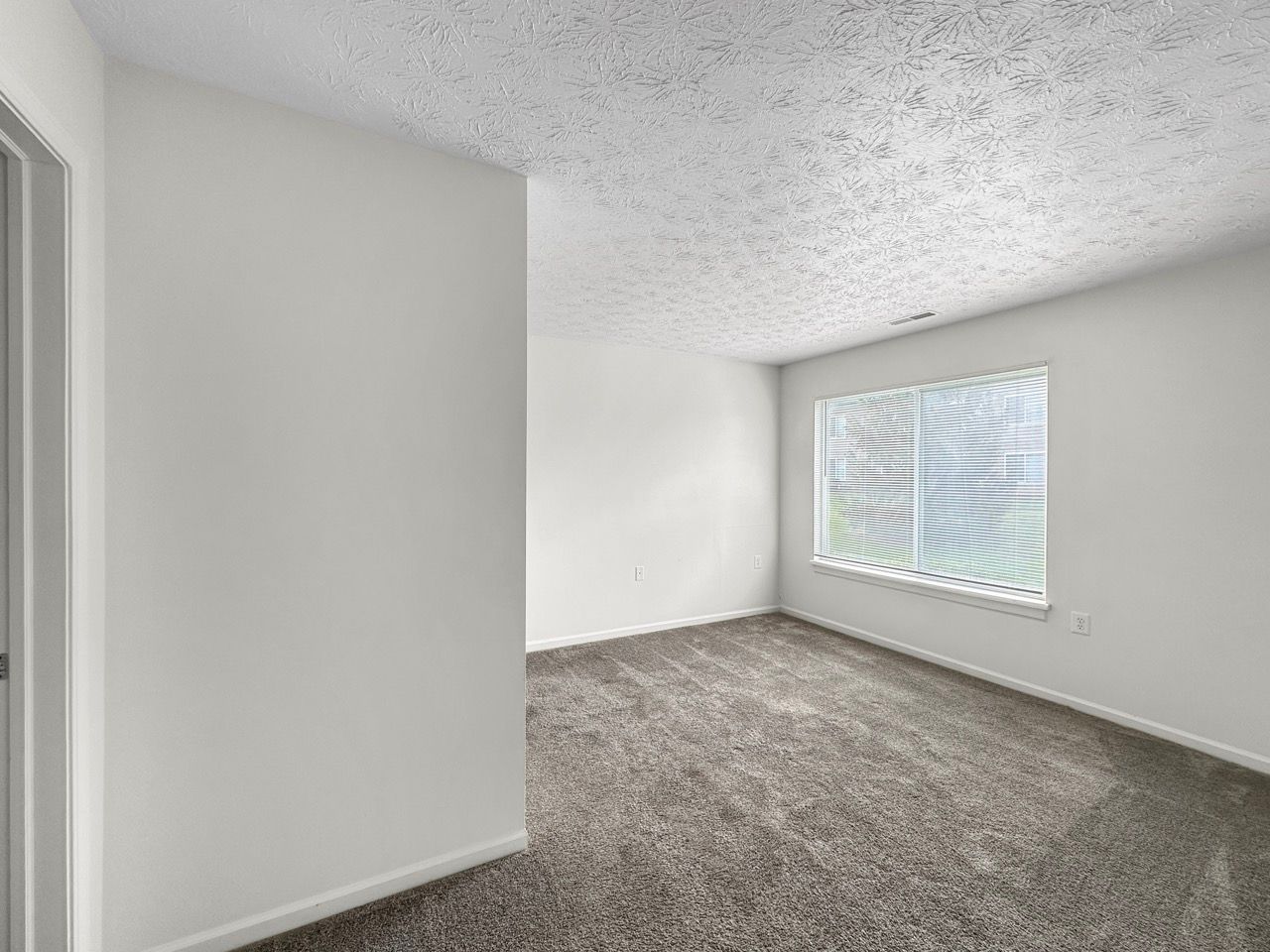 An empty bedroom with a window and carpet.