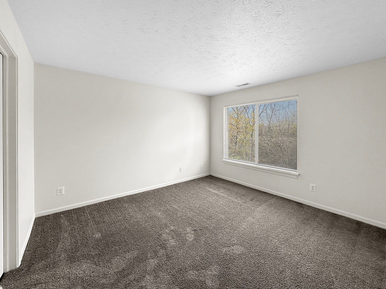 An empty bedroom with a window and a carpeted floor.