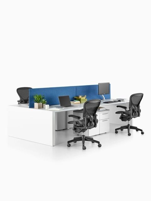 Modern open office with white desks, black chairs, blue privacy panel, and laptops on workstations