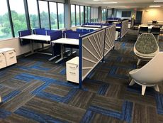 Modern open office with blue cubicles, desks by windows, patterned carpet, and lounge chairs