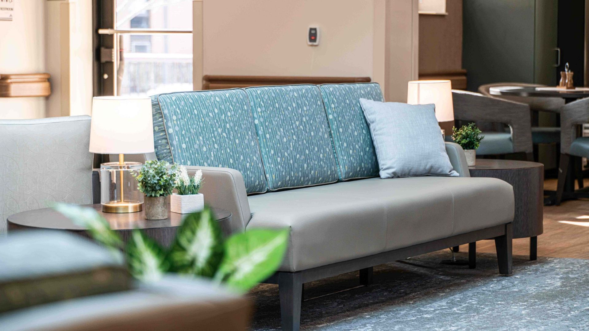 Modern living room with a gray sofa, blue pillows, and a coffee table with a plant.