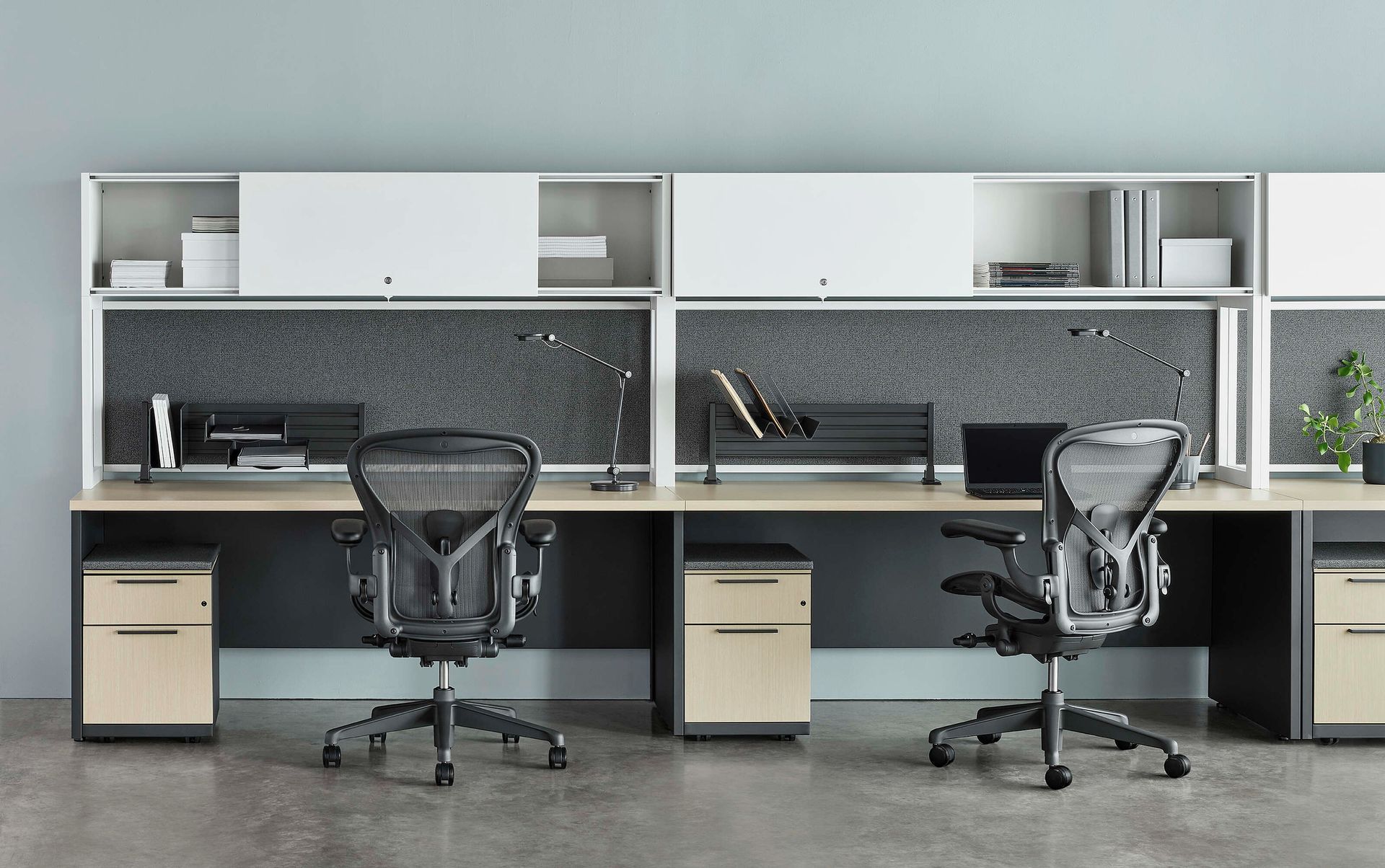 Modern shared office workspace with two desks, mesh chairs, cabinets, and monitors under white shelving.