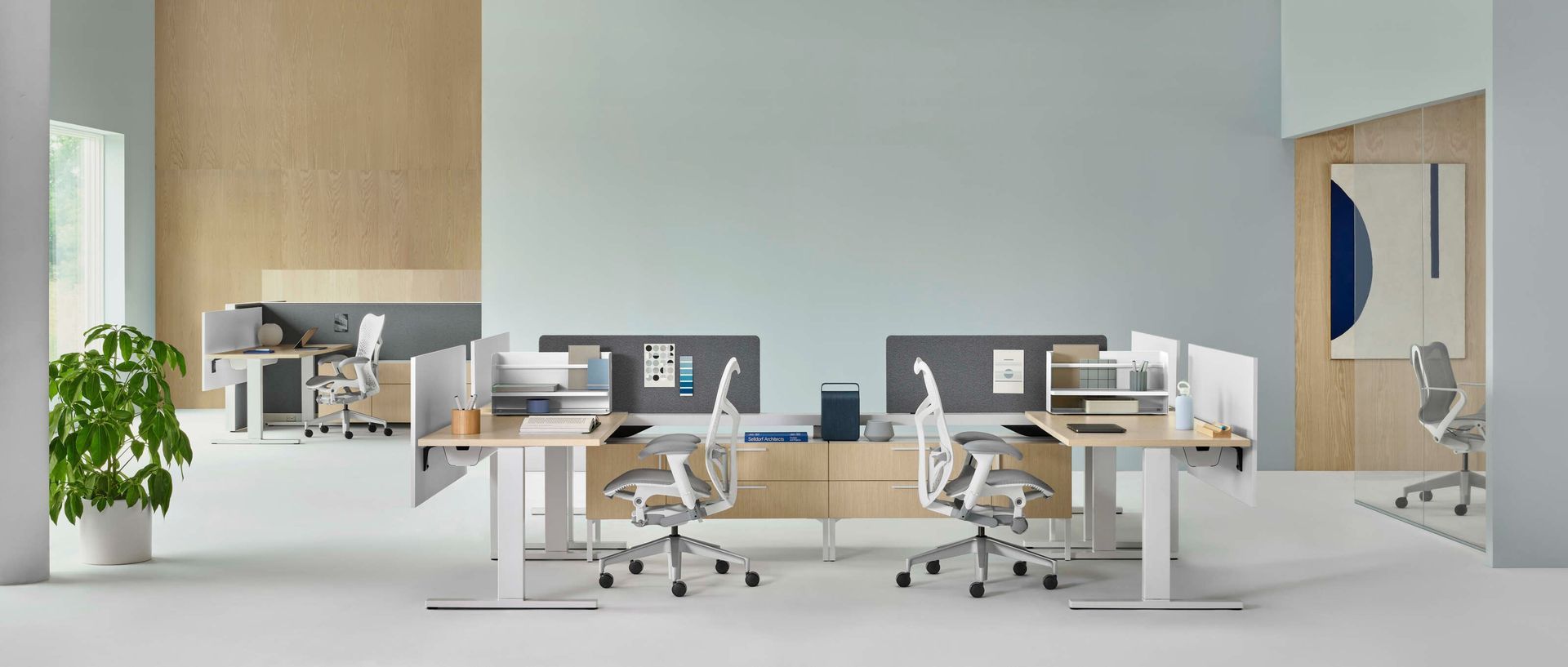 Modern open office with white desks, rolling chairs, computers, and a potted plant by a bright window.