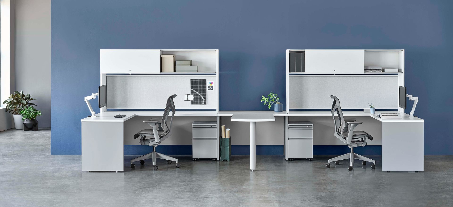 Modern office with two empty cubicles, gray chairs, white desks, and a blue wall backdrop