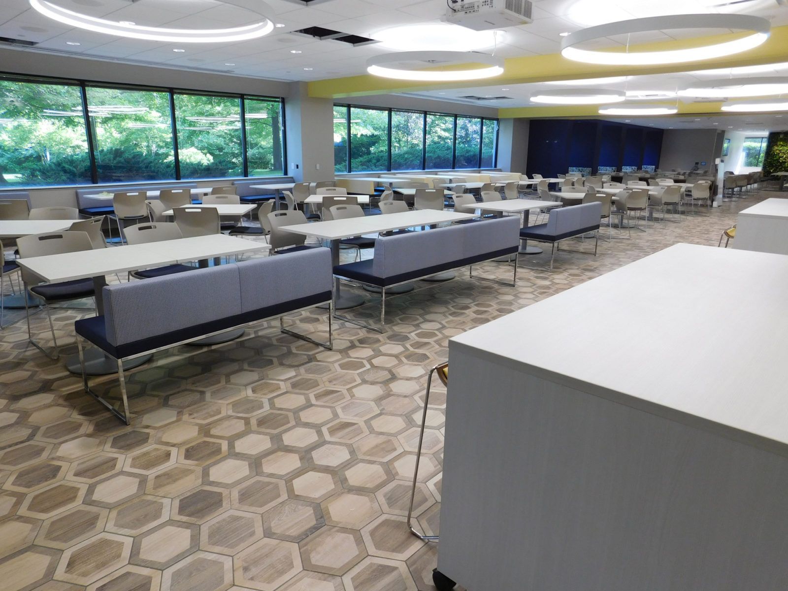 Empty modern cafeteria with long tables, hexagon-patterned carpet, large windows, and circular ceiling lights.