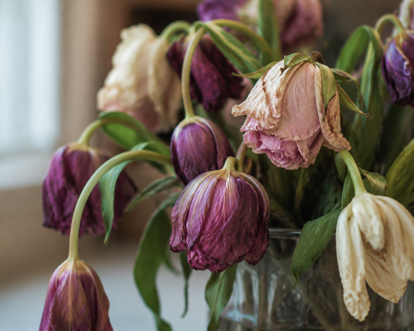 wilted flowers showing signs of poor flower care