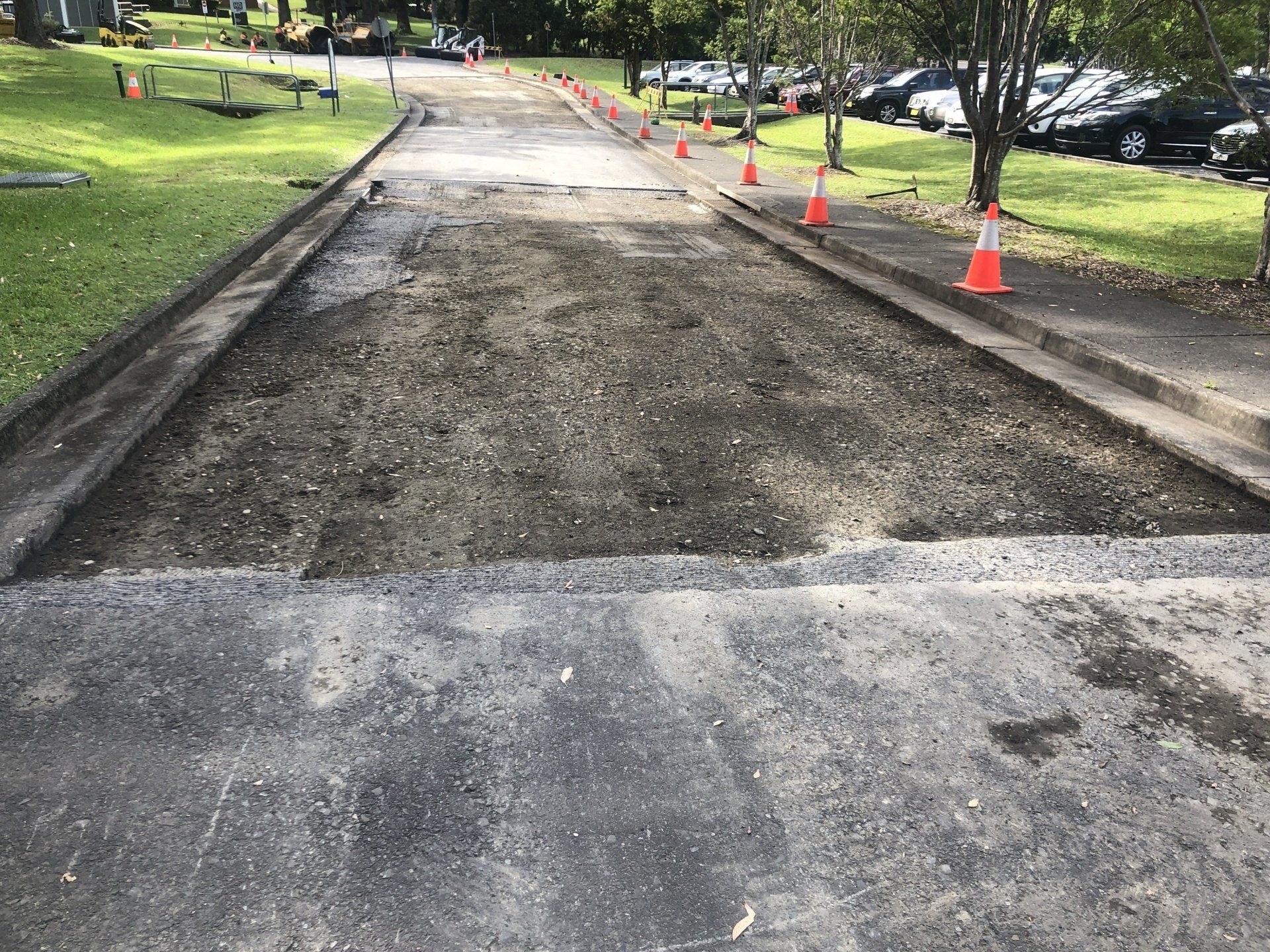 A dirt road with orange cones on the side of it in a park.
