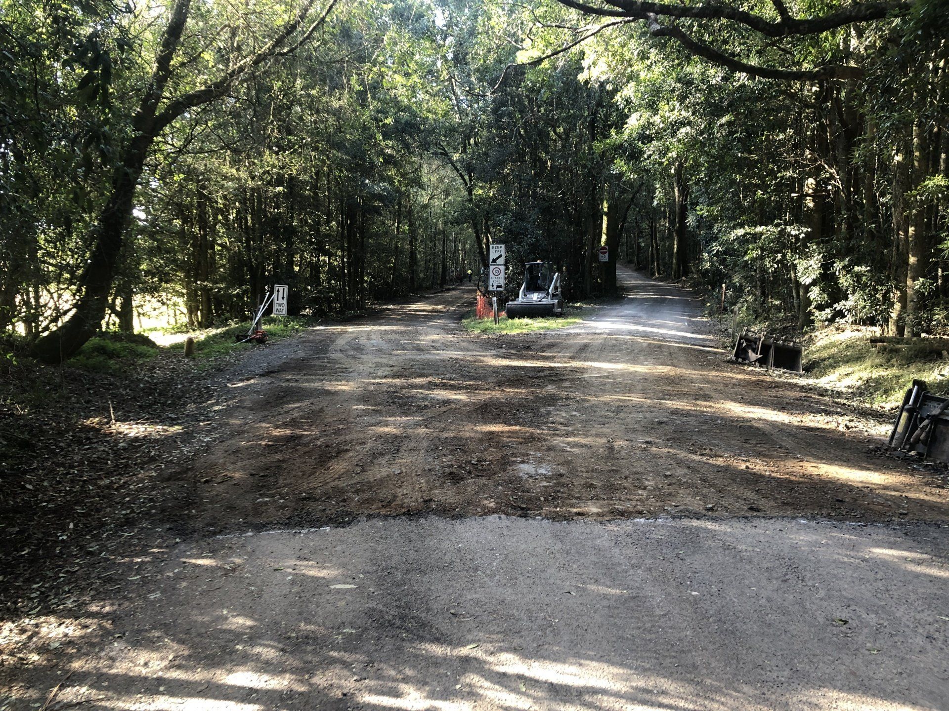 A dirt road in the middle of a forest with trees on both sides.