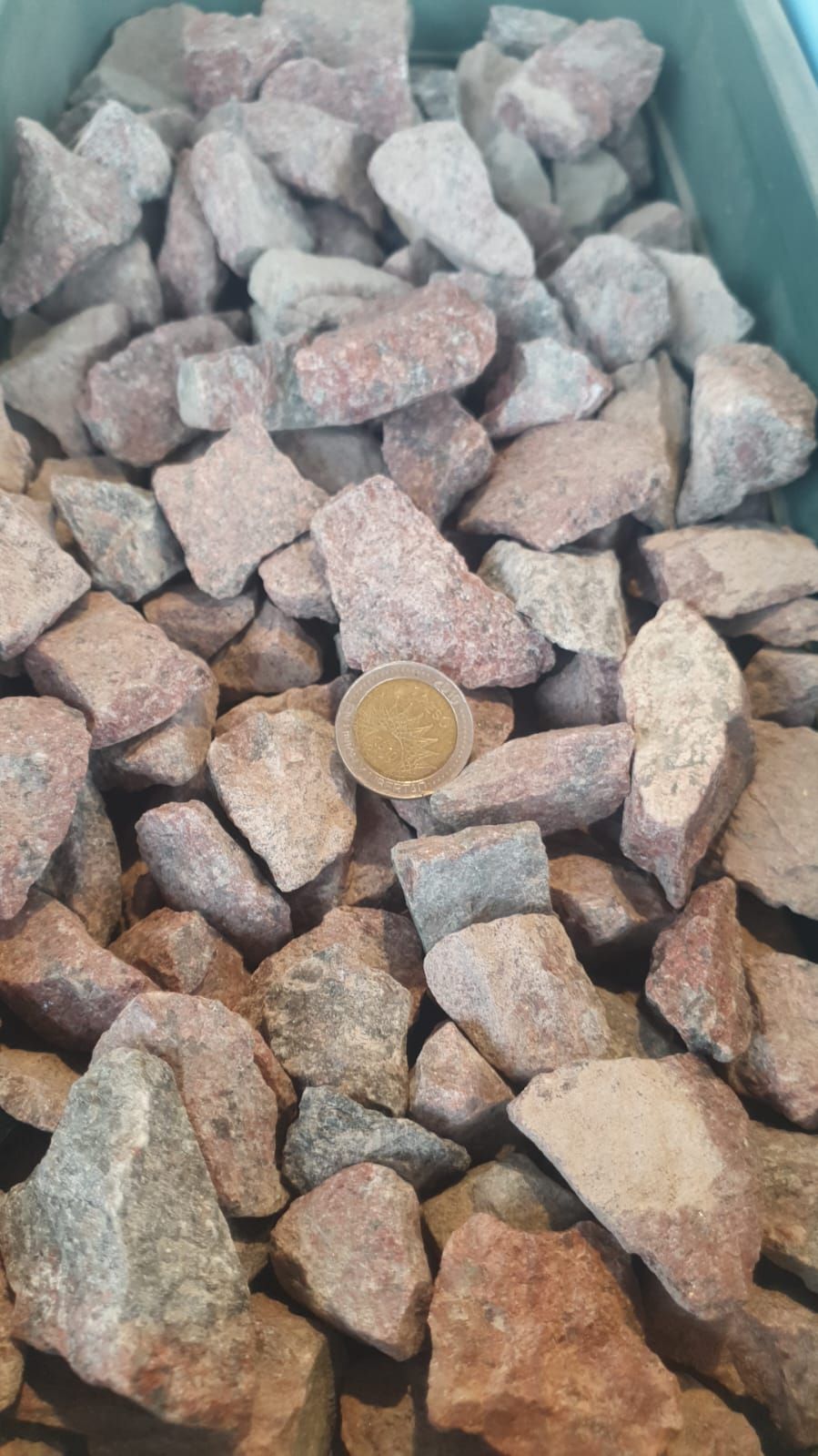 Montón de piedras de color marrón rojizo en un recipiente azul, con una moneda como referencia de tamaño.