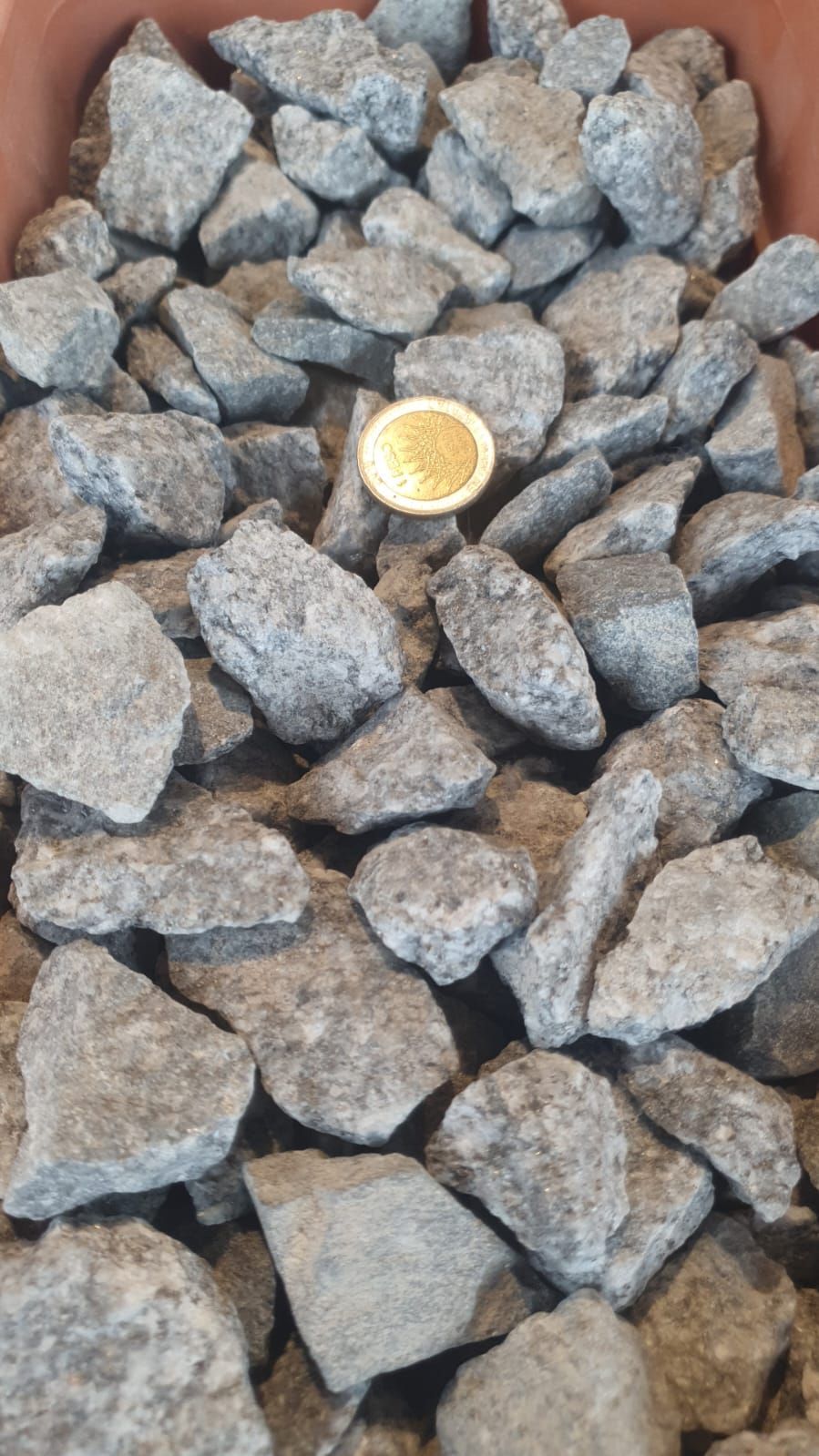 Rocas grises con una pequeña fruta naranja partida por la mitad en el centro.