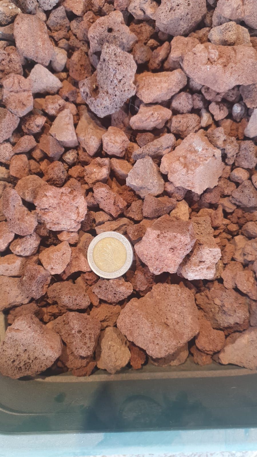 Vista desde arriba de piedras rojizas y rugosas con una pequeña rodaja de limón cerca del centro.