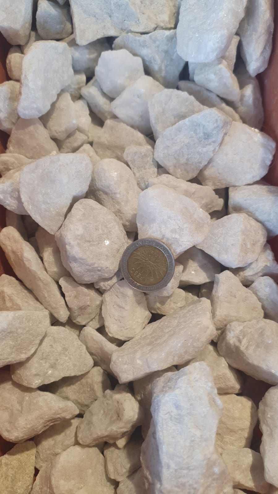 Primer plano de rocas de color gris pálido con un pequeño objeto parecido a una moneda entre ellas.