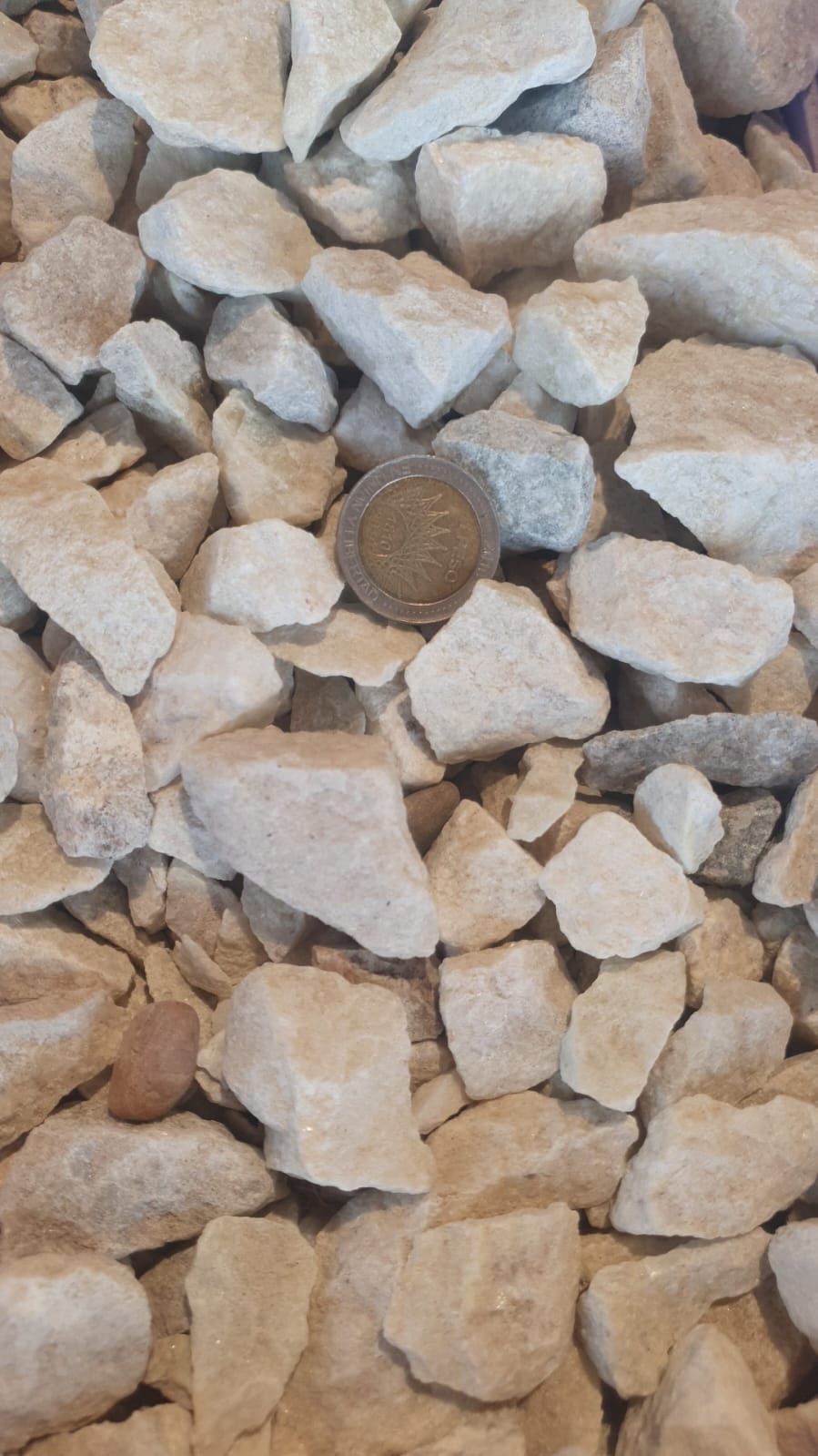 Piedras de grava de color marrón claro y gris con algunas rodajas de madera redondas mezcladas.
