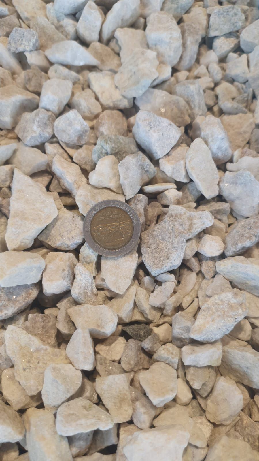 Moneda sobre piedras de grava de color claro.