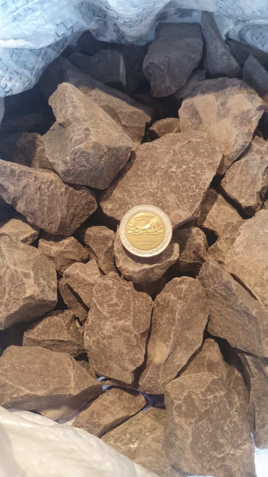 Pequeño objeto redondo sobre rocas de color marrón claro, bajo una superficie azul grisácea.