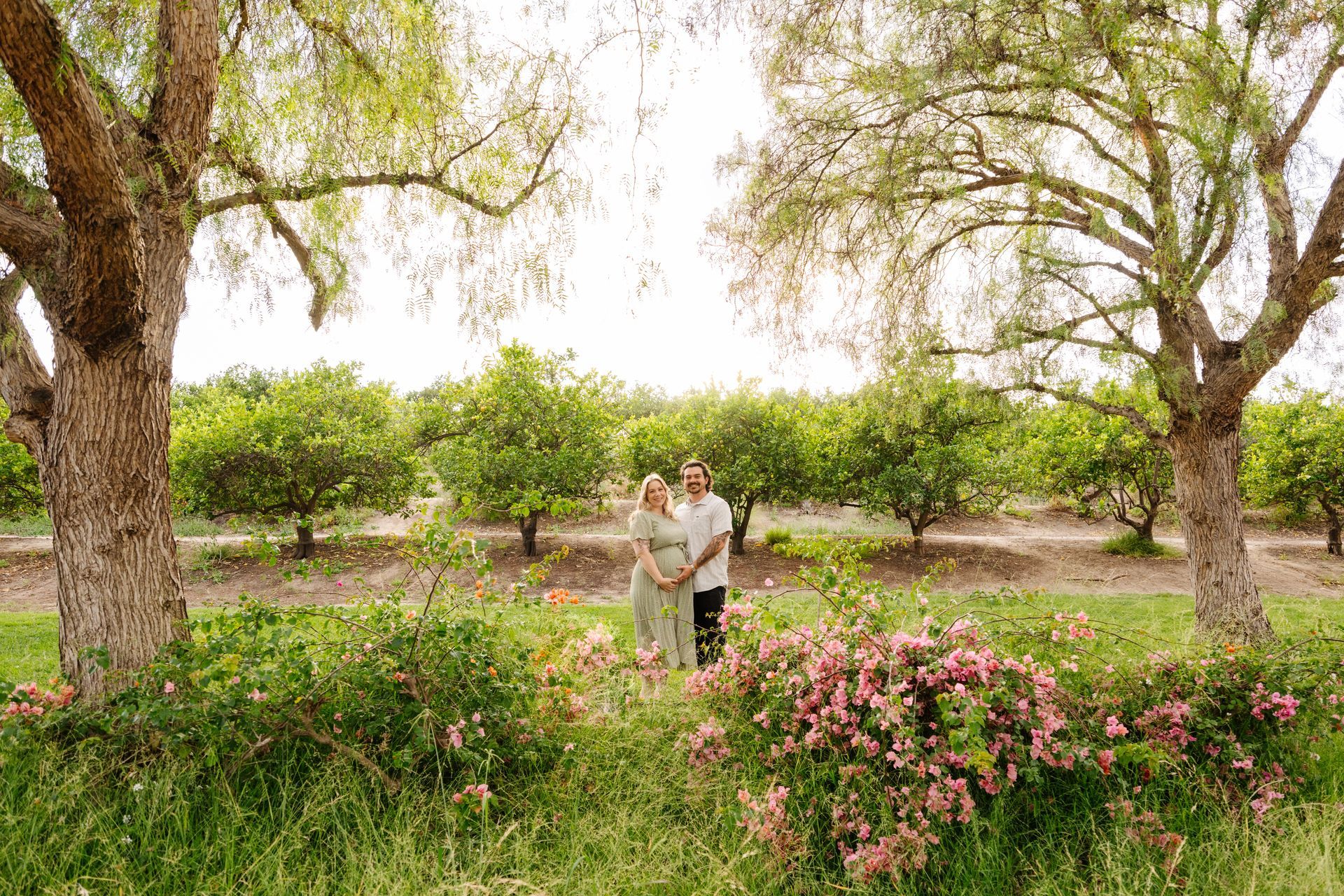 Citrus Maternity Photos