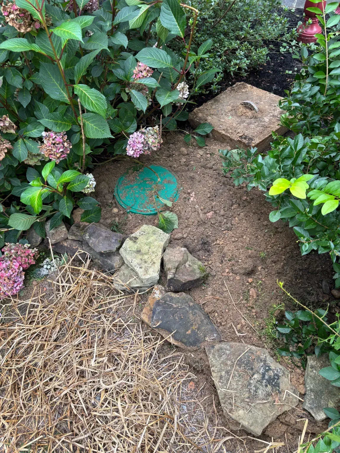 Garden path with stepping stones, green plants, and pink flowers beside a mulched bed